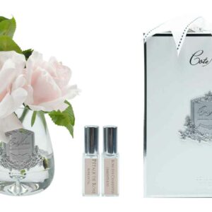 Rose thé rose français - Transparent