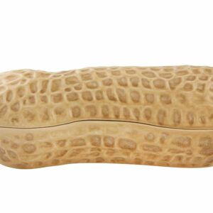 Grande boîte de cacahuètes