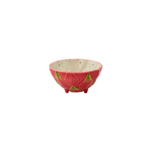Bol de pitaya