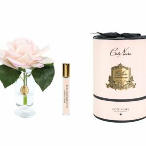 Rose des Charentes – Rose Champagne