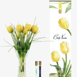 Tulipes de Charente – Jaune