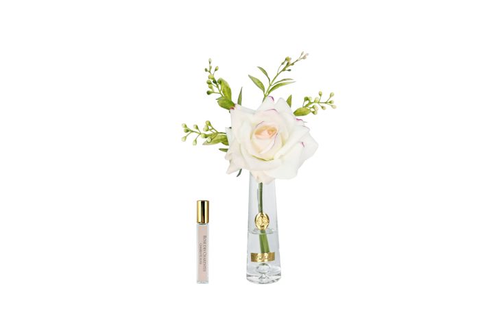 Composition Florale Summer Rose Blush – Gold
