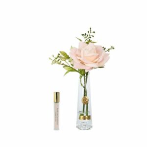 Summer Rose – Rose Champagne & Or